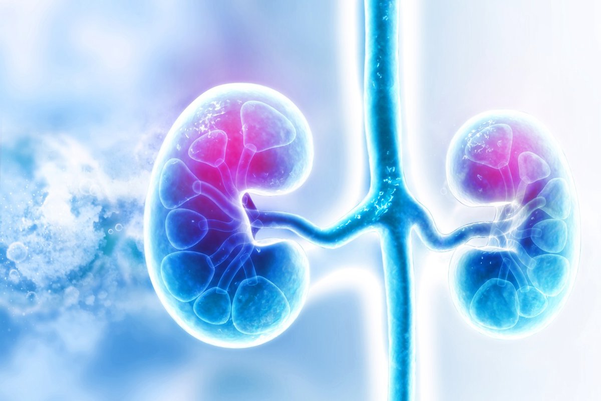 Proteína CDH1 podría predecir respuesta inmunitaria en cáncer agresivo de riñón
