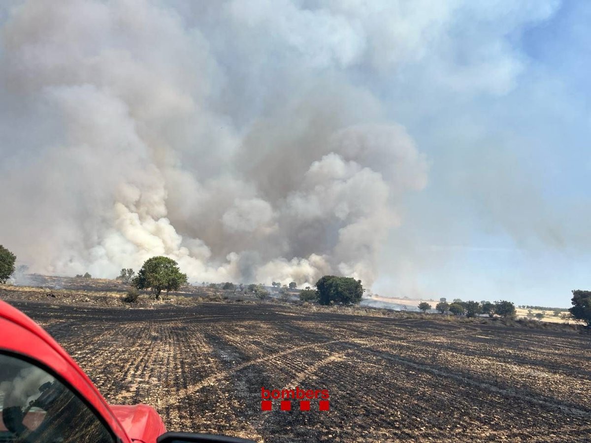 Incendio en Tàrrega controlado tras quemar más de 38 hectáreas