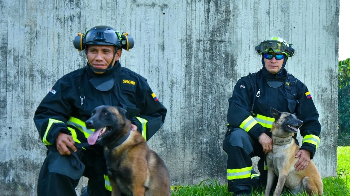 Colombia envía perros héroes para labores de búsqueda tras terremotos en Venezuela