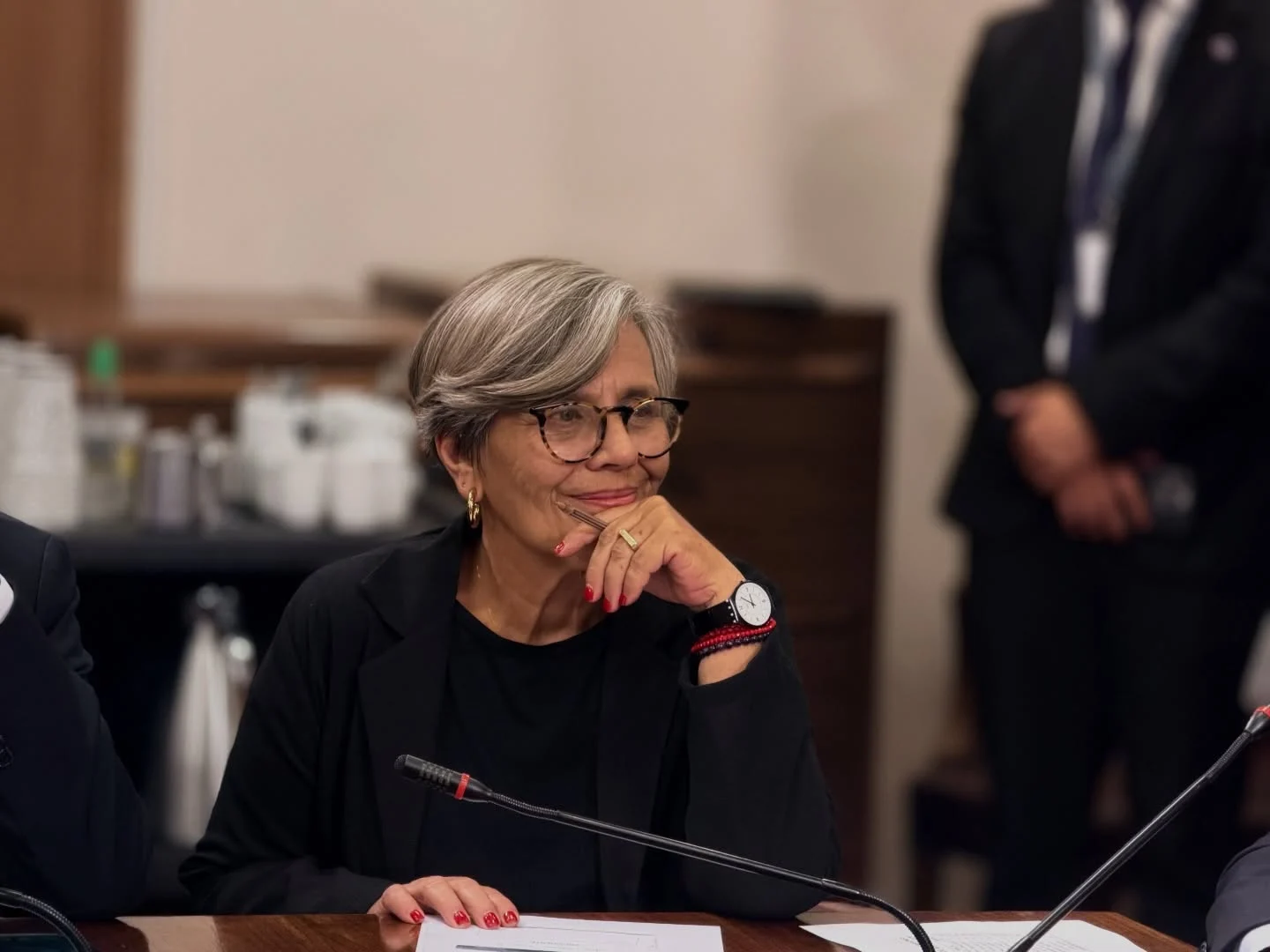 Diputada Fries apoya deshacer la reforma tributaria en próximo periodo