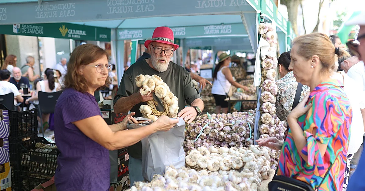 Zamora prepara feria nacional con 750 toneladas de ajo