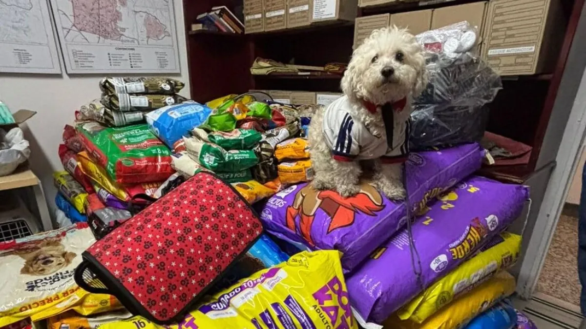 Bogotá recolecta más de 3.5 toneladas de ayuda para animales afectados en Venezuela