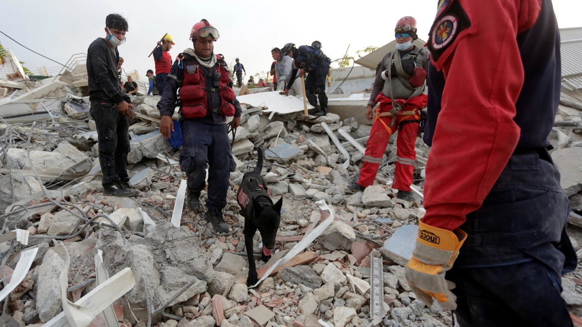 Venezuela tras terremotos: comisión para evaluar daños y cifras de afectados