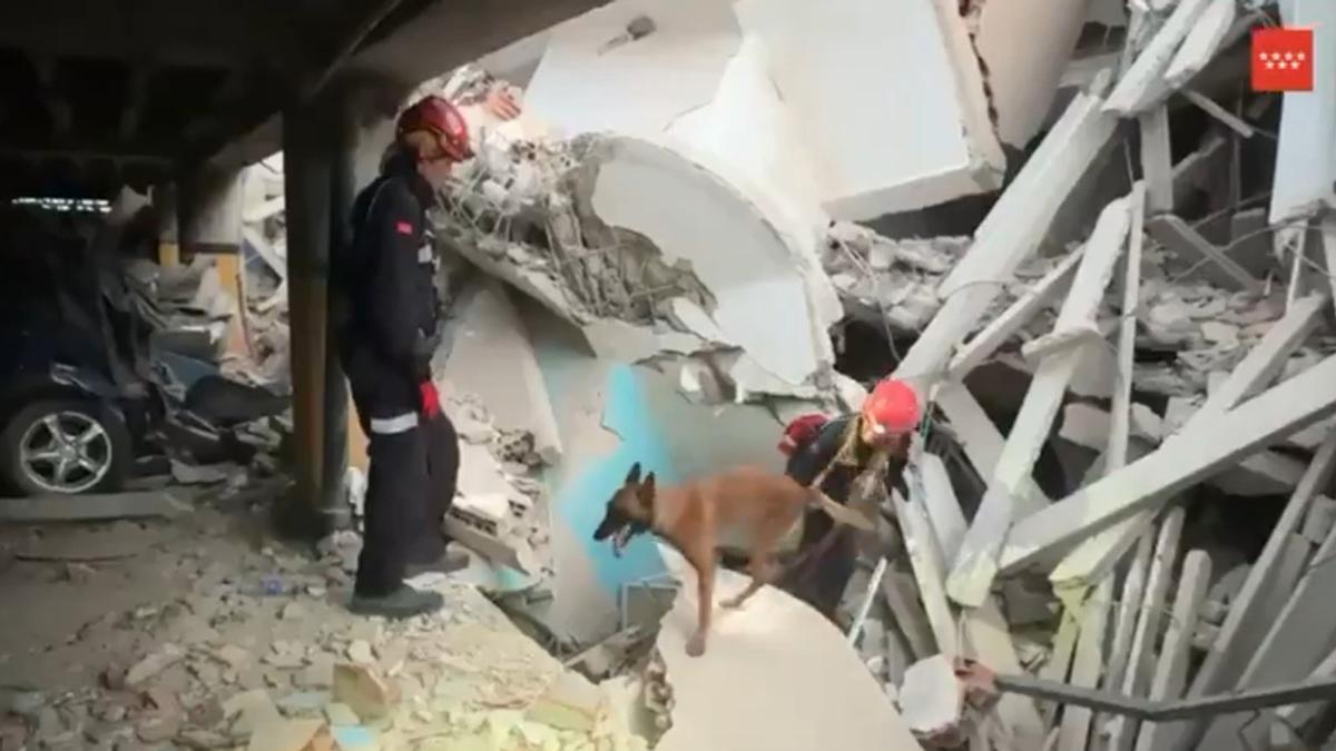 Terremoto en Venezuela: actualización de víctimas y desaparecidos