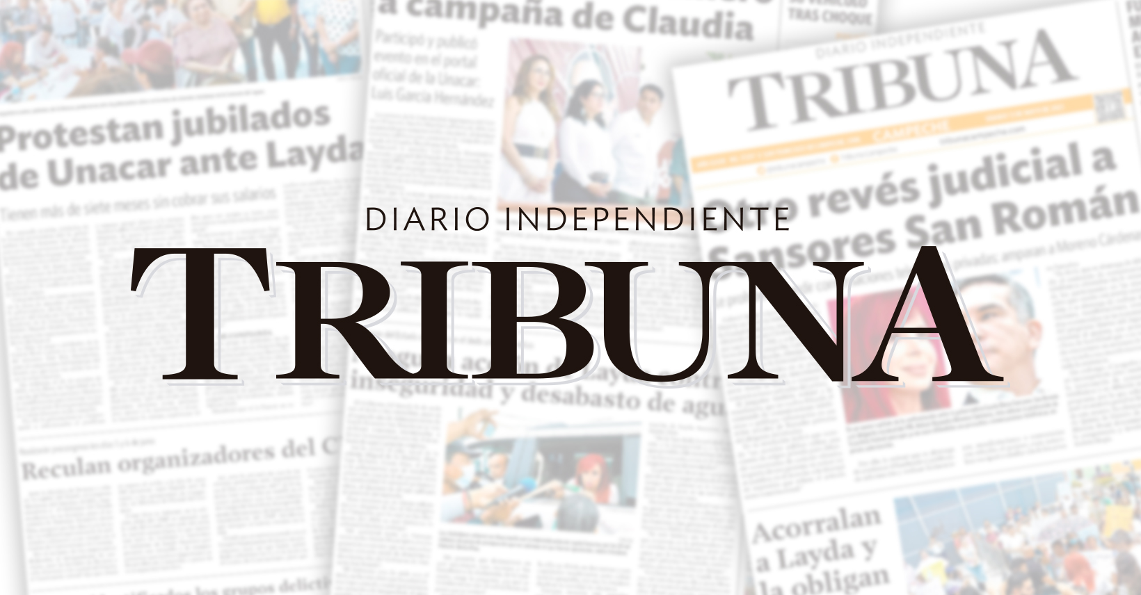 MC se fortalece internamente rumbo al proceso electoral 2027: Arce