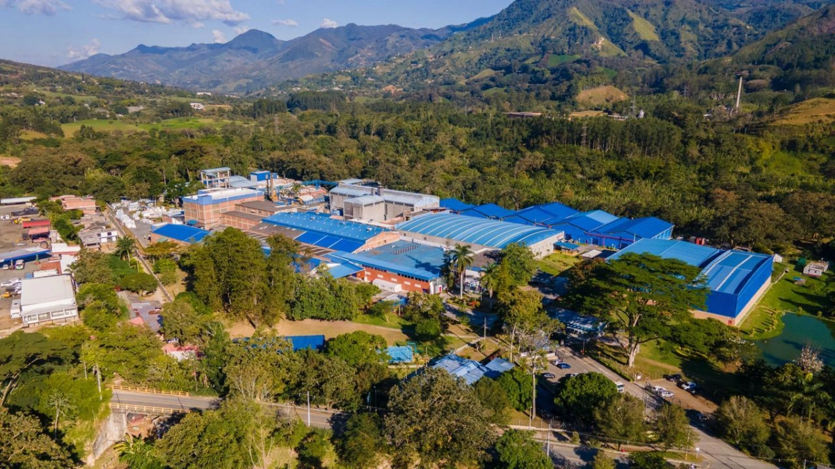 Suzano y Kimberly-Clark lanzan Arbex, empresa global de marcas como Kleenex