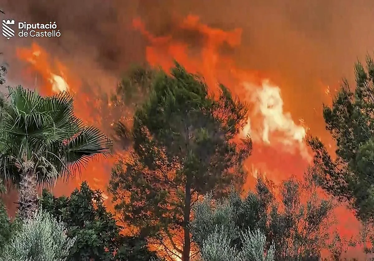 Incendio en Castellón moviliza medios aéreos y provoca desalojos