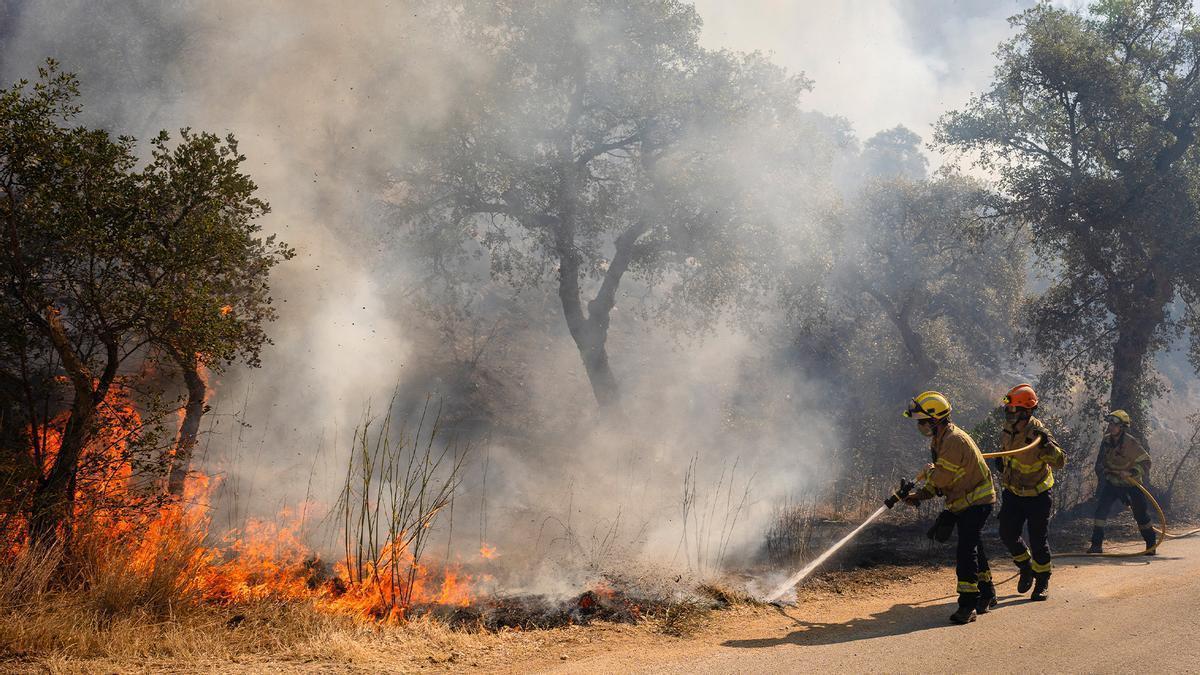 Incendios forestales en Cataluña y España: actualización en La Bisbal