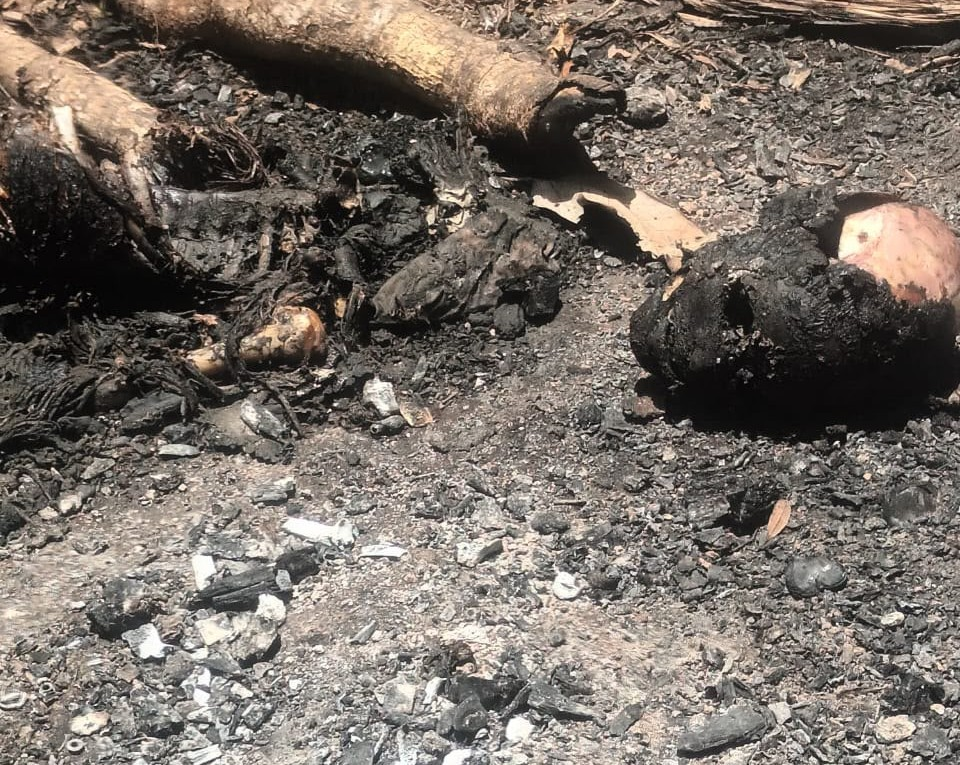 Encuentran osamenta humana carbonizada en Dajabón