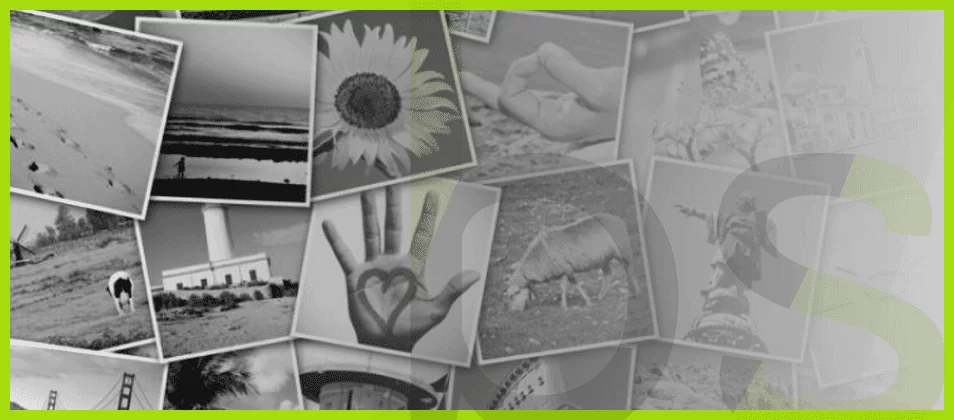 Los 10 mejores editores de fotos para Instagram
