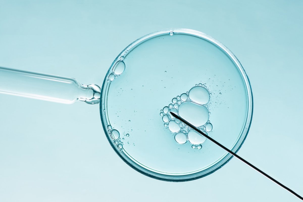 La fecundación 'in vitro' alcanza sus mejores resultados: hasta un 68% de éxito en tres ciclos