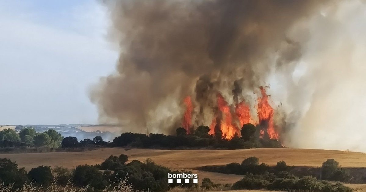Incendio en Guimerà (Lleida) se reactiva; Bomberos trabajan con 32 dotaciones