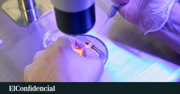 IA analiza espermatozoides sin dañarlos para mejorar reproducción asistida