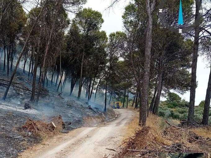 Incendio forestal en Rute controlado; permanece autobomba y retén