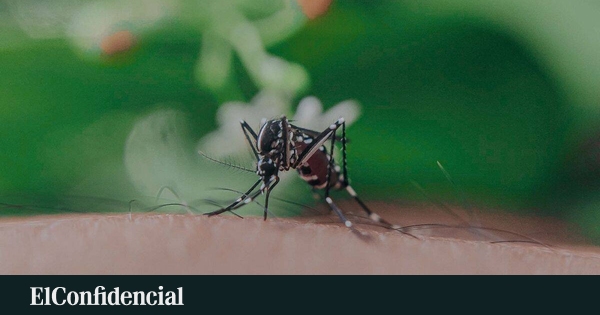 Filvit apuesta por innovación en soluciones contra mosquitos y garrapatas