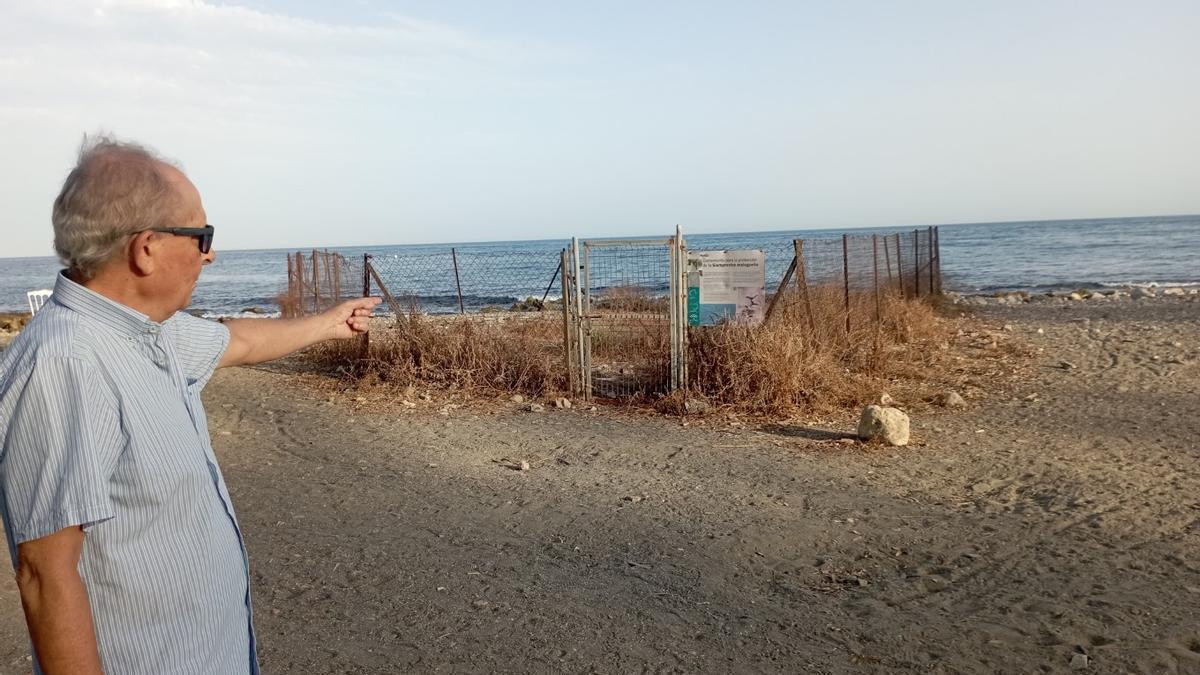Planta rara de Málaga que sobrevive pese a la Junta