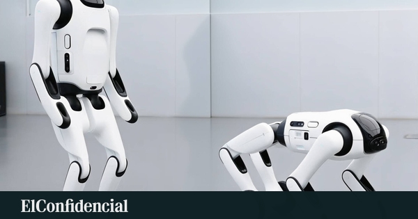 China presenta primer robot 'transformer' doméstico: perro que se convierte en humanoide