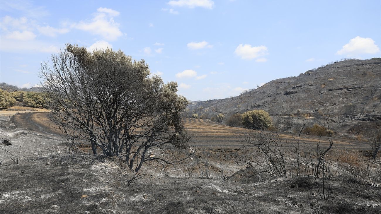 Incendio en Orés (Zaragoza) estabilizado tras quemar 14.400 hectáreas