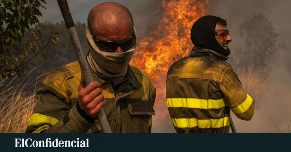 Megaincendio en Oímbra: descoordinación y 23,800 hectáreas afectadas