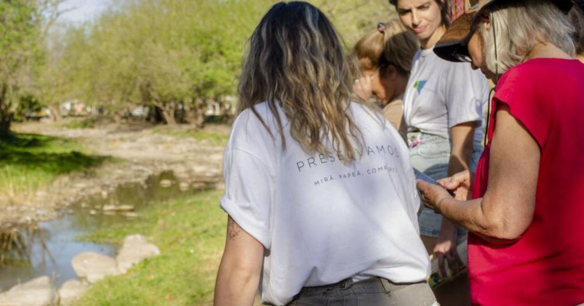 Desarrollan semáforo ambiental en La Plata para ciencia ciudadana