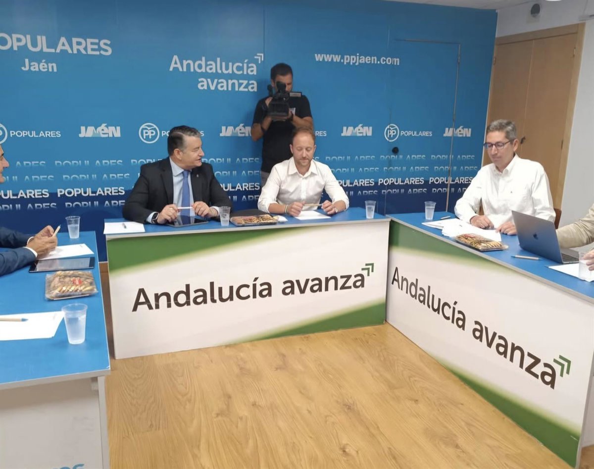 JM+ pide a Erik Domínguez priorizar intereses de Jaén sobre siglas del PP