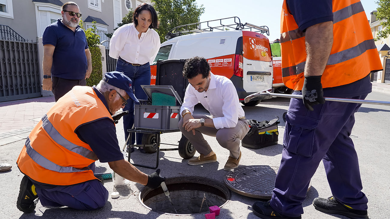 Torrejón inicia campaña contra ratas, cucarachas e insectos
