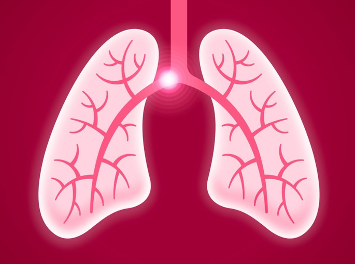Siete sociedades médicas crean estándar unificado para evaluar embolia pulmonar