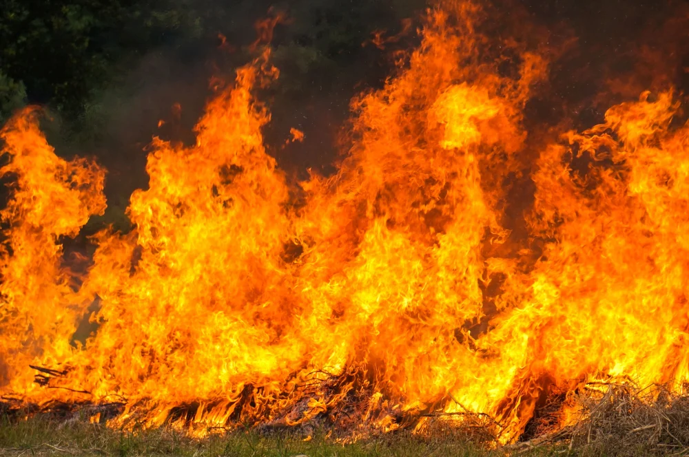 Díaz activa mecanismos para protección laboral en incendios sin afectar empleo