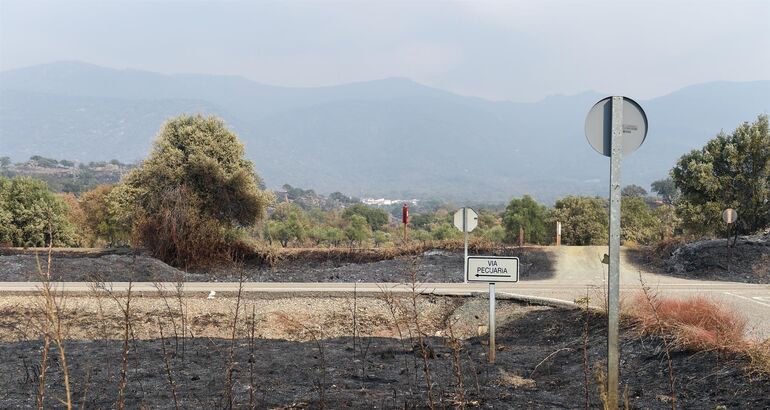 Vox: El campo está en una situación crítica y aboga por soluciones reales contra incendios