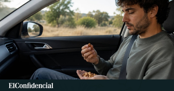 Cuatro consejos para comer sano durante viajes largos en coche