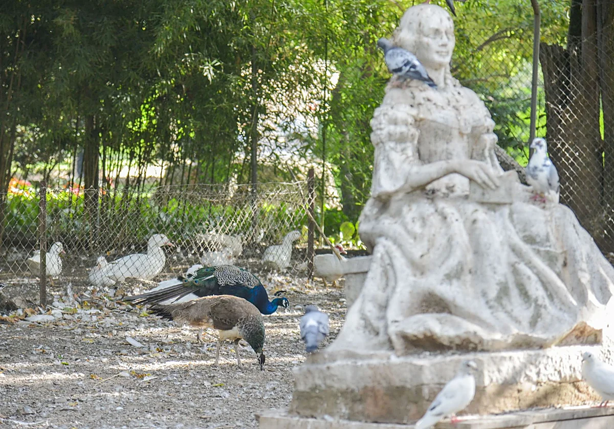 Roban crías de pavo real y patos en parque de Badajoz