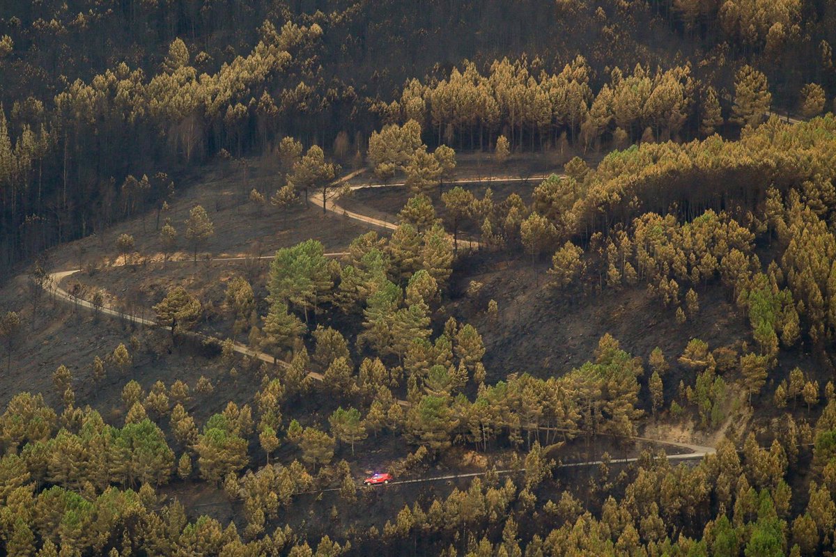 Gestión Forestal destaca inversión récord para prevención de incendios en Asturias