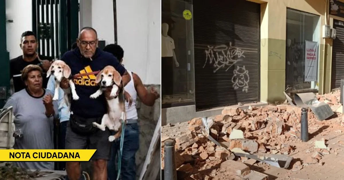 Relato del terremoto en Colombia: evacuación prioritaria de perros