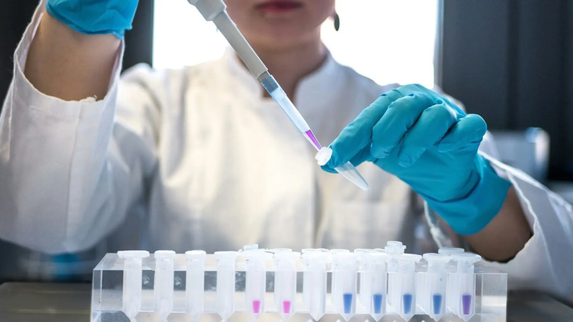IA crea virus artificiales capaces de destruir bacterias