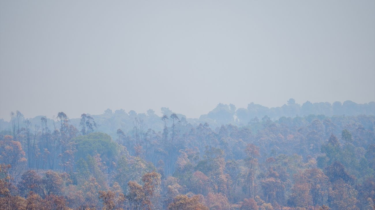 Incendio en Niebla (Huelva) sigue activo y provoca nuevos desalojos en Sevilla