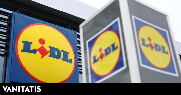 Planta de Lidl con flores similares a rosas por menos de 3 euros