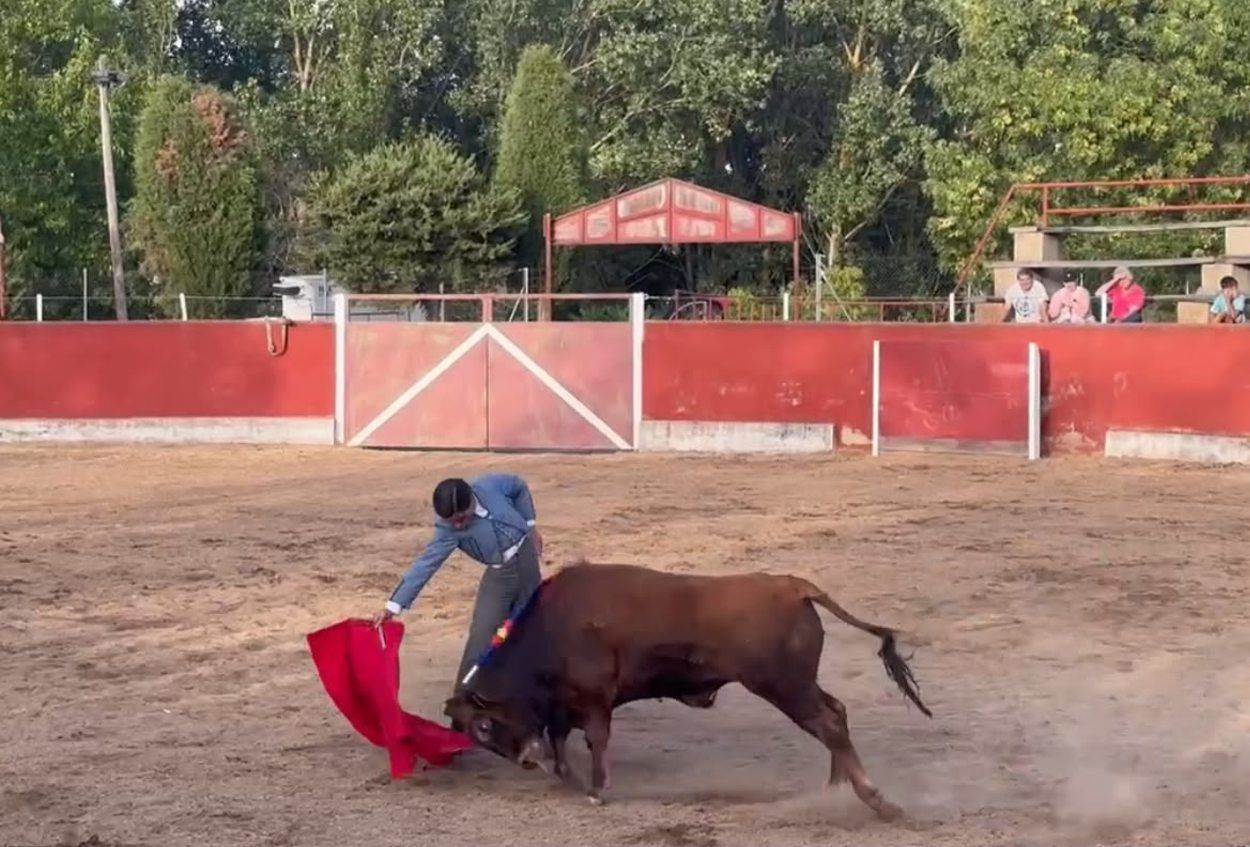 Perspectivas para el toreo en Zamora