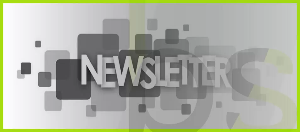 Qué es una newsletter y cómo usarla