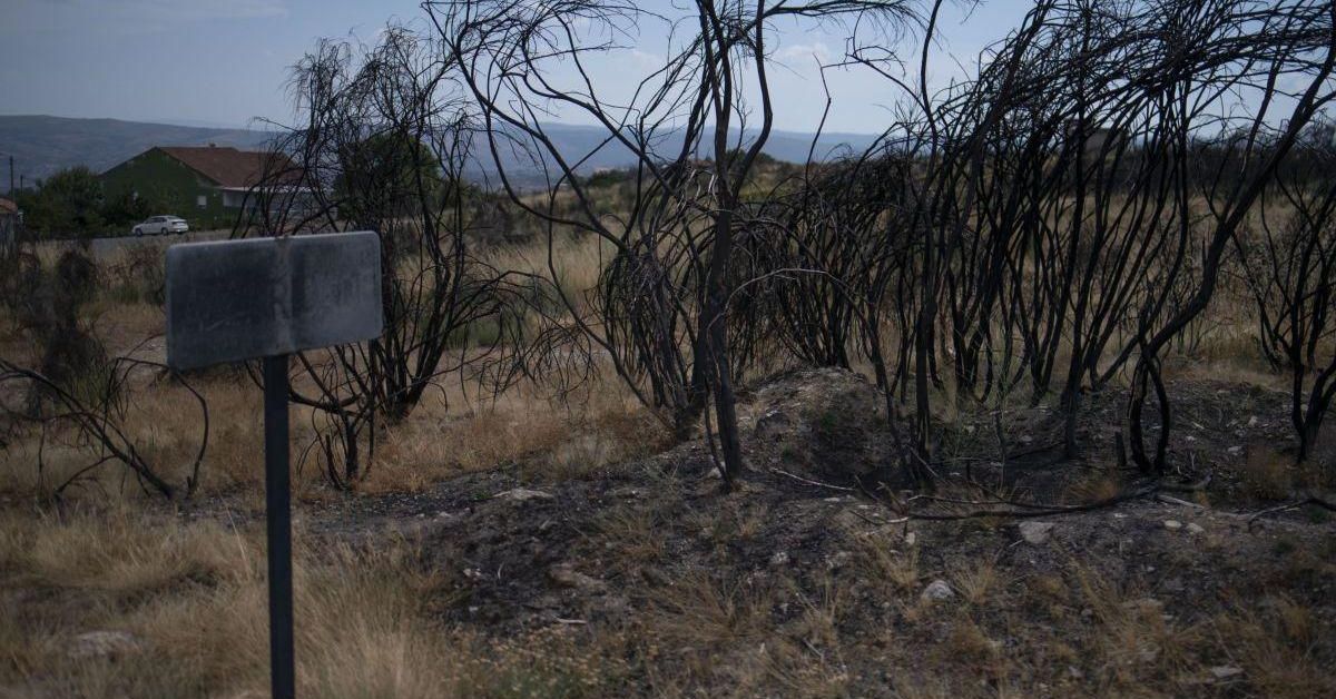 Ourense controla incendios pero montes quedan dañados irreversiblemente