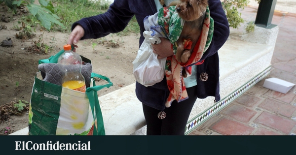 Protocolo psicológico para superar miedo a temblores como el de Granada