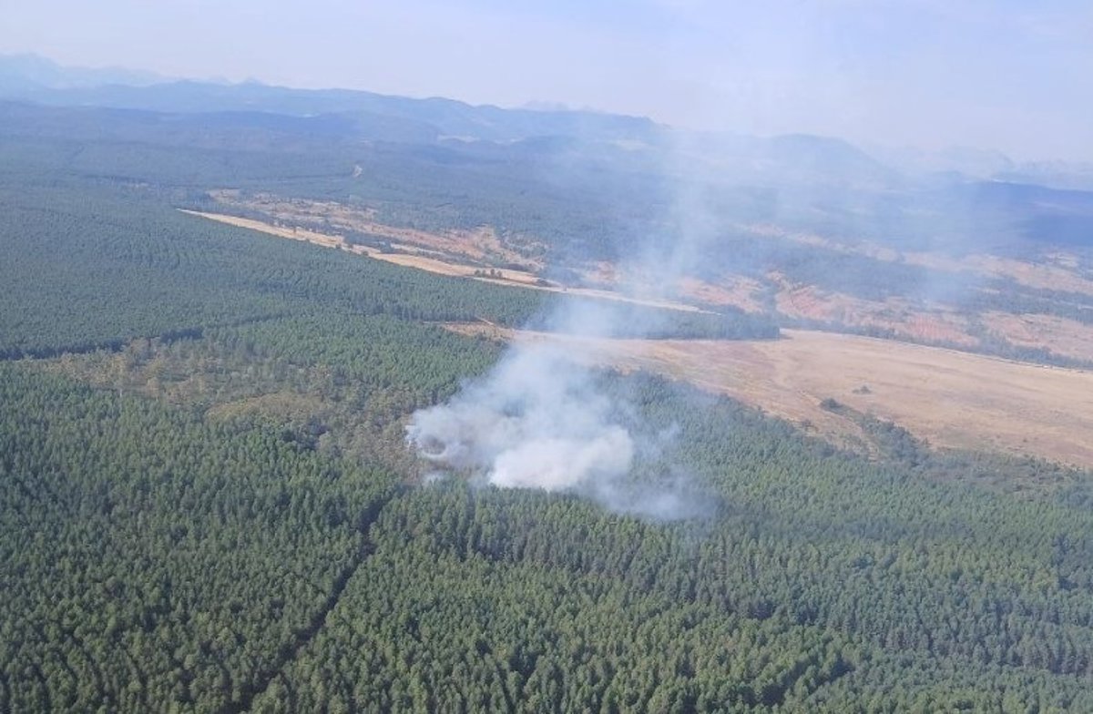 Más de veinte medios trabajan para apagar incendio en La Ercina