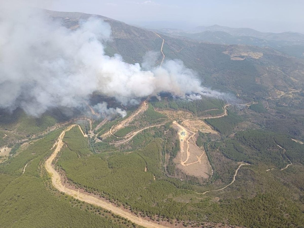 Evacúan a 600 personas por incendio forestal en Pinofranqueado