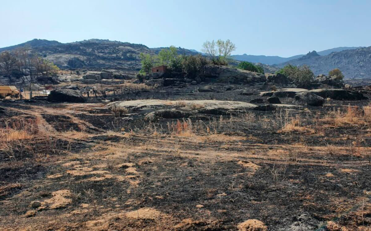 Listado de ayudas de 5.500€ para afectados por incendios