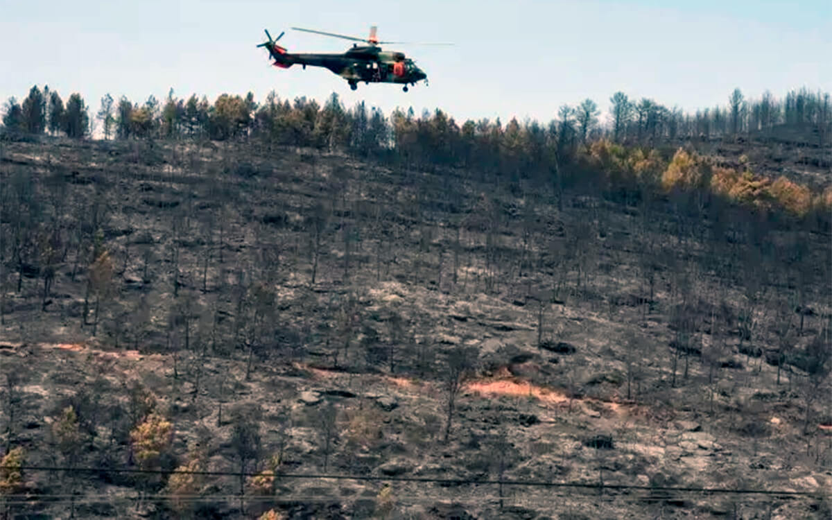 Buenas prácticas agrícolas para prevenir incendios forestales