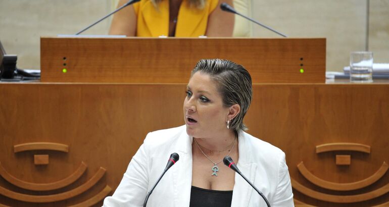 PSOE pide a Junta que deje de gestionar los servicios públicos “a golpe de improvisación”