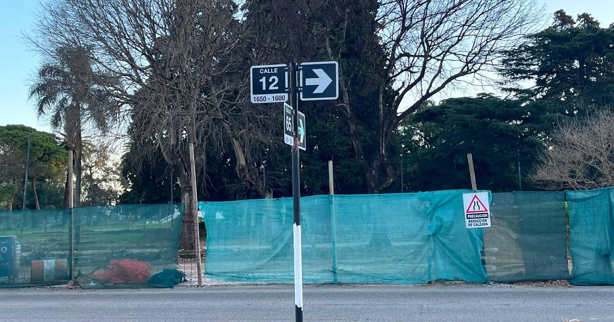Cinco muertes en menos de 24 horas en La Plata, investigadas como suicidio