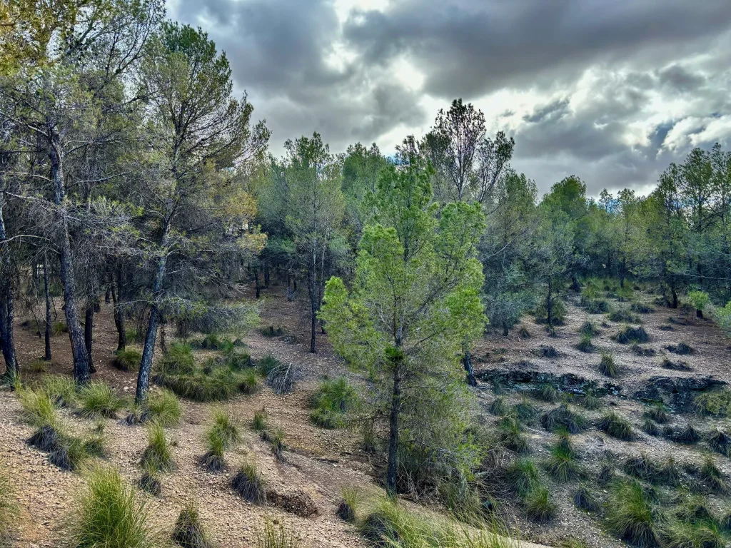 Incendio de Las Peñas de Riglos estabilizado tras quemar 18.400 hectáreas