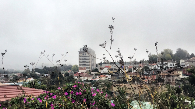La ciudad observada con tranquilidad