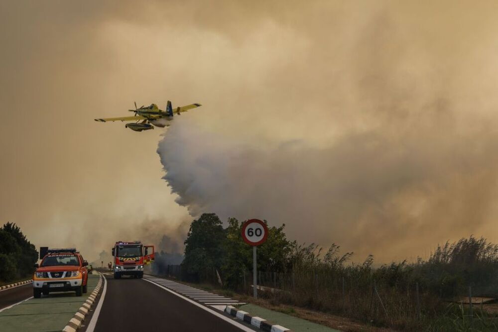 Incendio obliga a evacuar a 150 personas en El Saler
