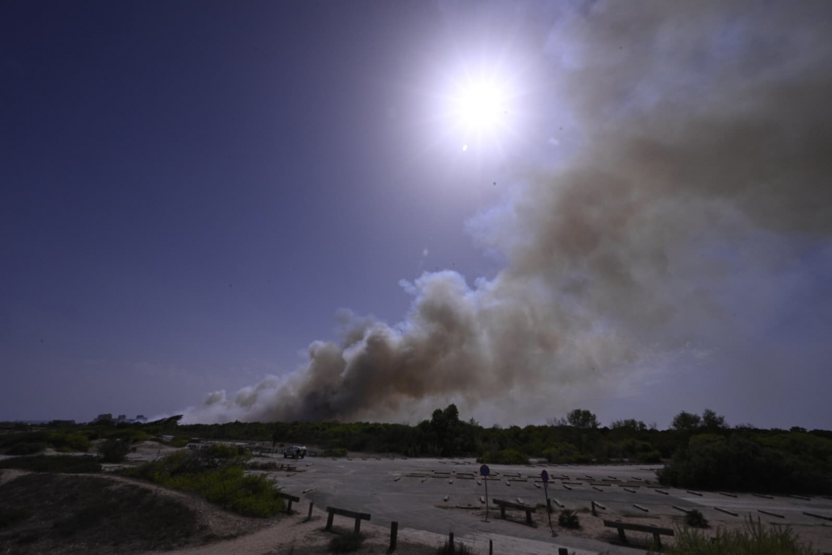 Incendio en El Saler afecta 48 hectáreas sin dañar casco urbano